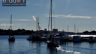 Zadarska koka 2017. Zadarska koka 2017.