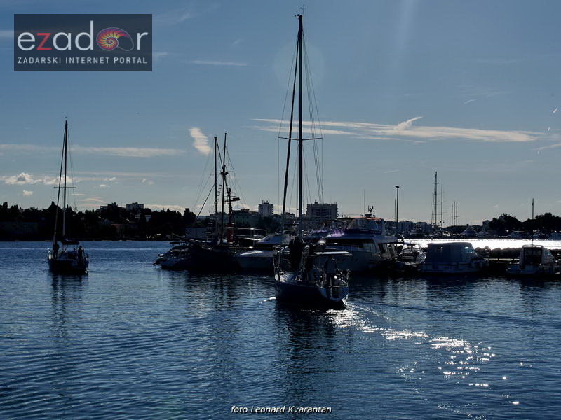 Zadarska koka 2017. Zadarska koka 2017.