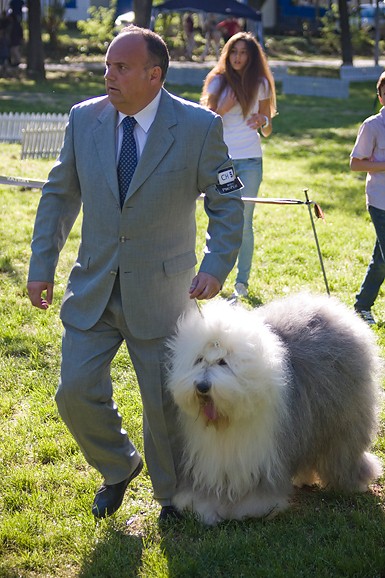 Međunarodna izložba pasa “CACIB ZADAR 2012” Međunarodna izložba pasa “CACIB ZADAR 2012”