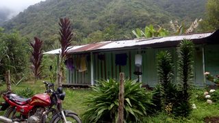 Tropske ptice u kolumbijskom Parque National Natural Tatamá u zapadnim Andama. Foto: Maja Bjelić