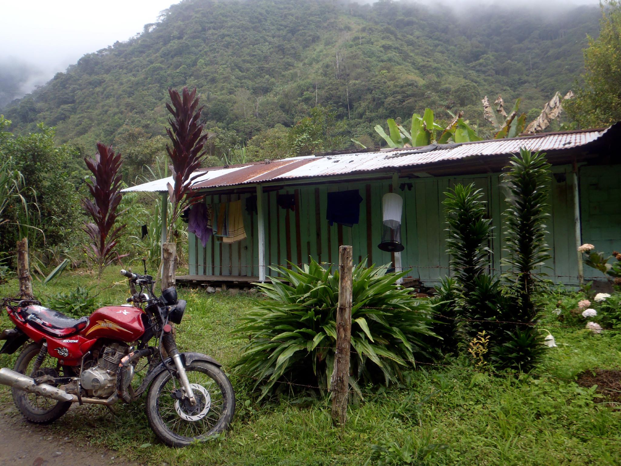 Tropske ptice u kolumbijskom Parque National Natural Tatamá u zapadnim Andama. Foto: Maja Bjelić