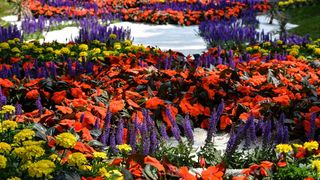 Pogledajte cvijetne fantazije na 53. Floraartu