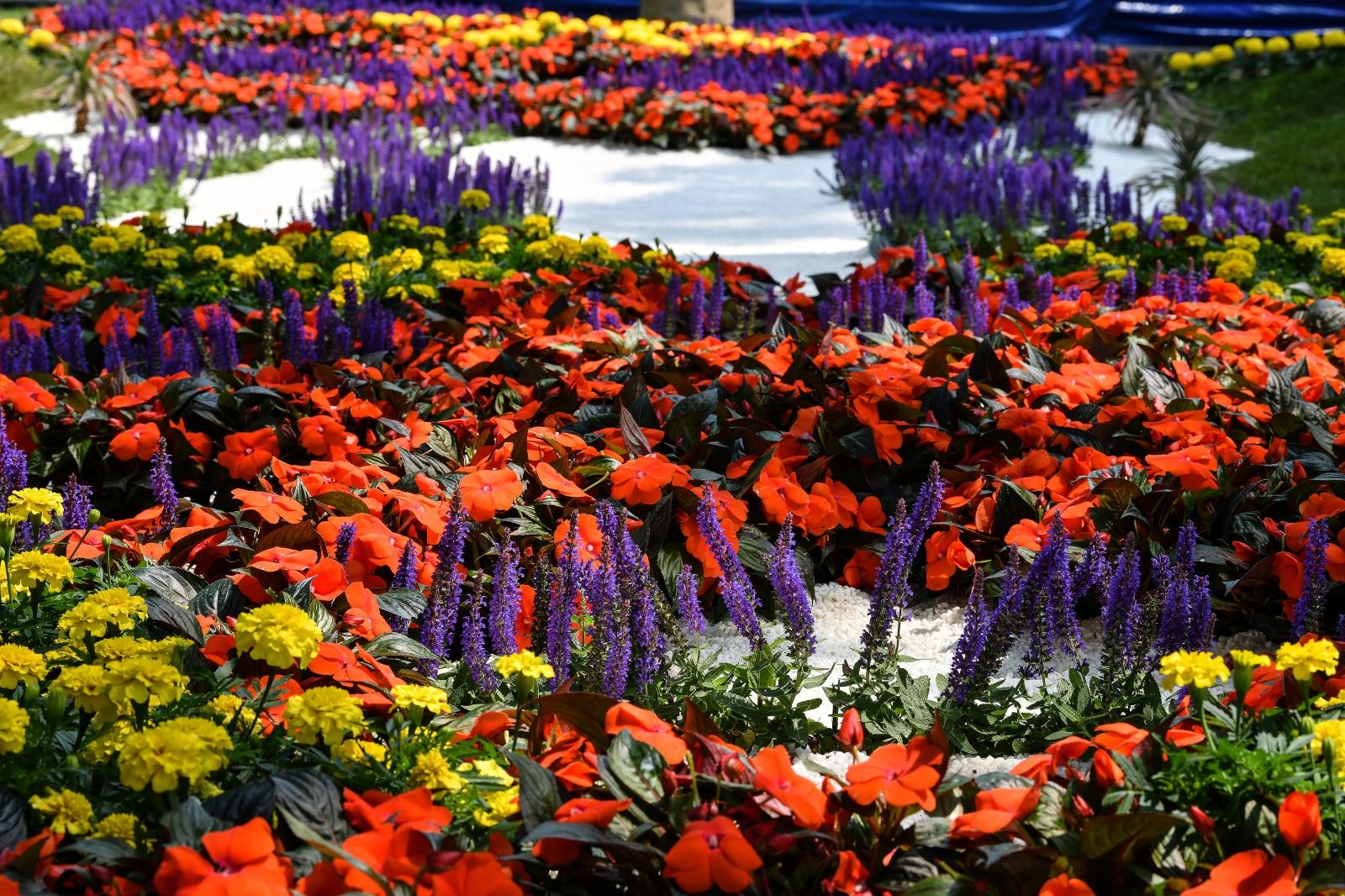 Pogledajte cvijetne fantazije na 53. Floraartu