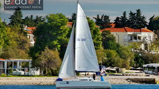 Zadarska koka 2017. Zadarska koka 2017.
