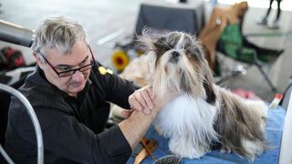 Izložba pasa na Zagrebačkom velesajmu Izložba pasa na Zagrebačkom velesajmu