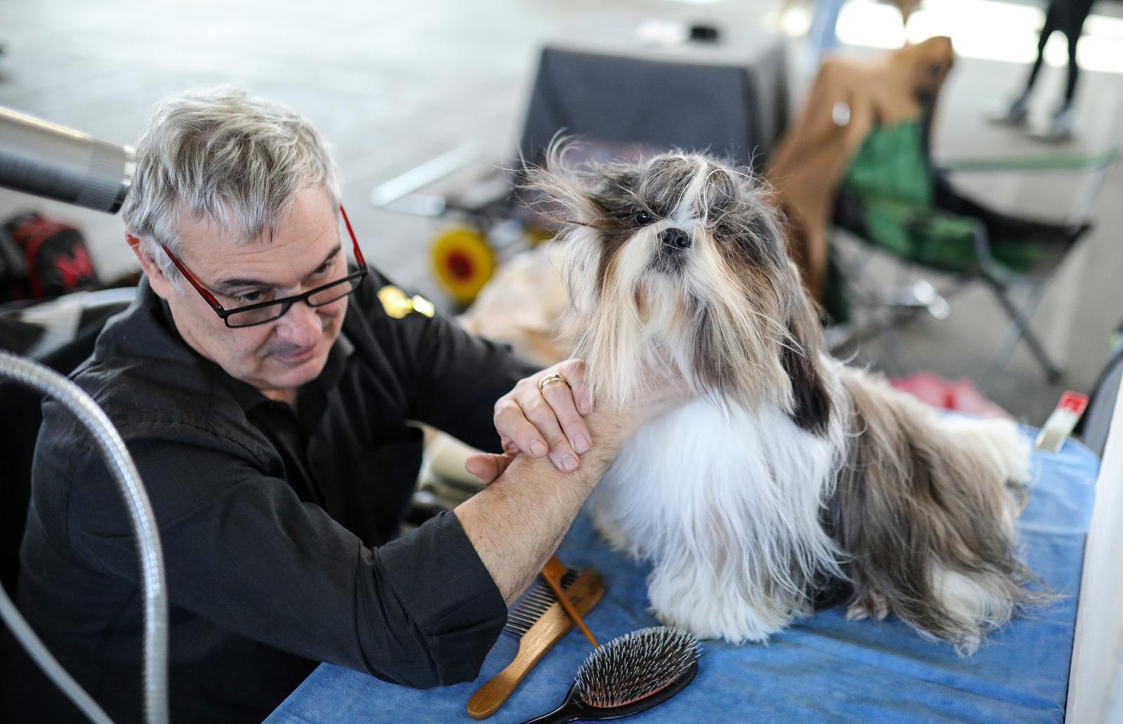 Izložba pasa na Zagrebačkom velesajmu Izložba pasa na Zagrebačkom velesajmu