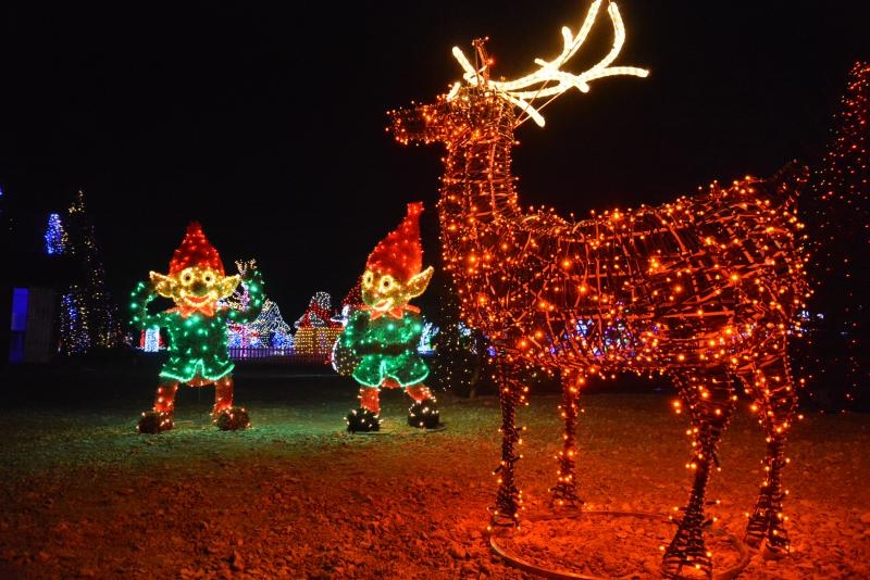 Dva milijuna lampica za božićnu čaroliju na imanju Salaj