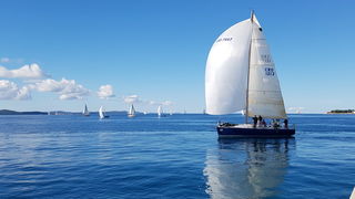 Zadarska Koka 2016. 22. listopada 2016. Foto: Mladen Malik Zadarska Koka 2016. 22. listopada 2016. Foto: Mladen Malik