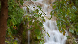 Izlet u NP Krka: Skradin, Skradinski buk, Visovac, foto: Darko Belančić
