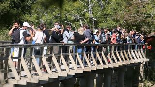 Nacionalni park Krka bilježi rekordan broj posjetitelja. Photo: Duško Jaramaz/PIXSELL