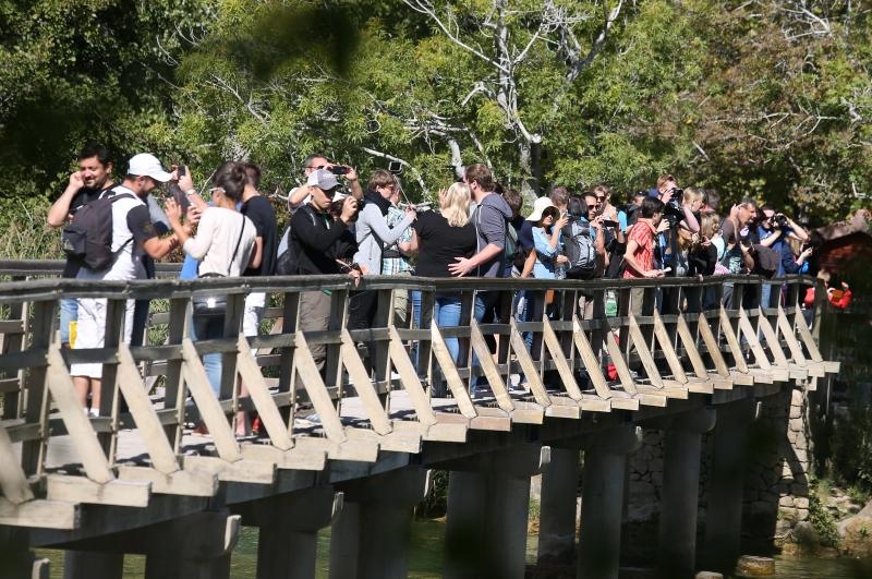 Nacionalni park Krka bilježi rekordan broj posjetitelja. Photo: Duško Jaramaz/PIXSELL