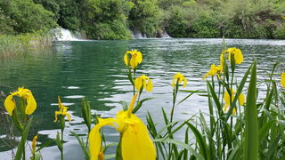 1.svibnja u Skradinu i NP Krka, Foto: Mladen Malik