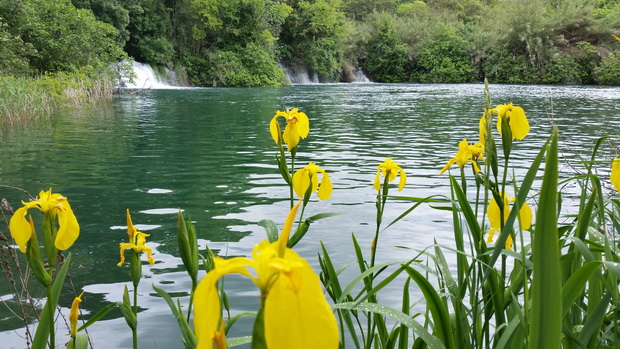 1.svibnja u Skradinu i NP Krka, Foto: Mladen Malik