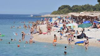 Guštanje na primoštenskim plažama. Photo: Hrvoje Jelavić/PIXSELL Guštanje na primoštenskim plažama. Photo: Hrvoje Jelavić/PIXSELL