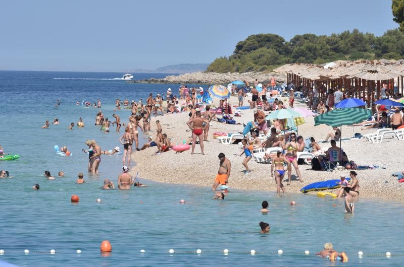 Guštanje na primoštenskim plažama. Photo: Hrvoje Jelavić/PIXSELL Guštanje na primoštenskim plažama. Photo: Hrvoje Jelavić/PIXSELL