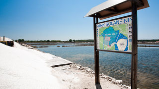 Solana Nin, berba soli, foto: Leo Banić