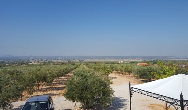 Zbog suše zadarski poljoprivrednici traže proglašenje elementarne nepogode