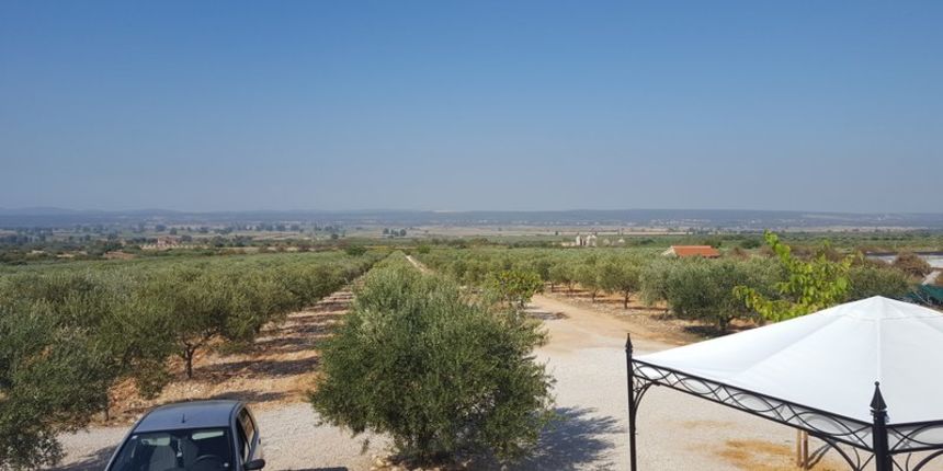 Zbog suše zadarski poljoprivrednici traže proglašenje elementarne nepogode Zbog suše zadarski poljoprivrednici traže proglašenje elementarne nepogode