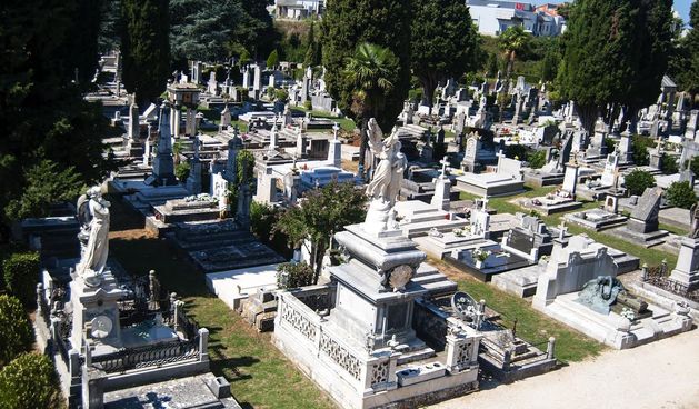 Gradsko groblje Zadar