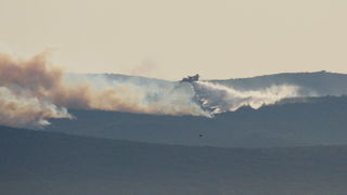 Image 1177169 (auto)