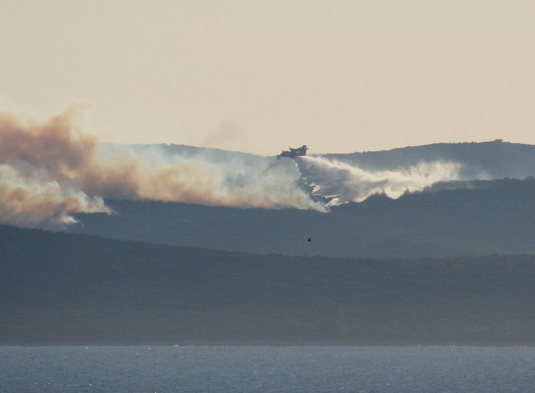 Image 1177169 (auto)