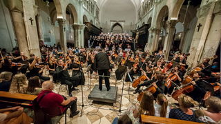 Zadarski komorni orkestar: Beethovenova Deveta simfonija u katedrali Sv. Stošije