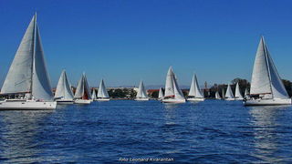 “Zadarska koka”: Regata za sve generacije snimljena iz “koke” “Zadarska koka”: Regata za sve generacije snimljena iz “koke”