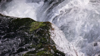 Ugodno prijepodne uz tok rijeke Karešnice i stare zapuštene mlinove, foto: Darko Belančić
