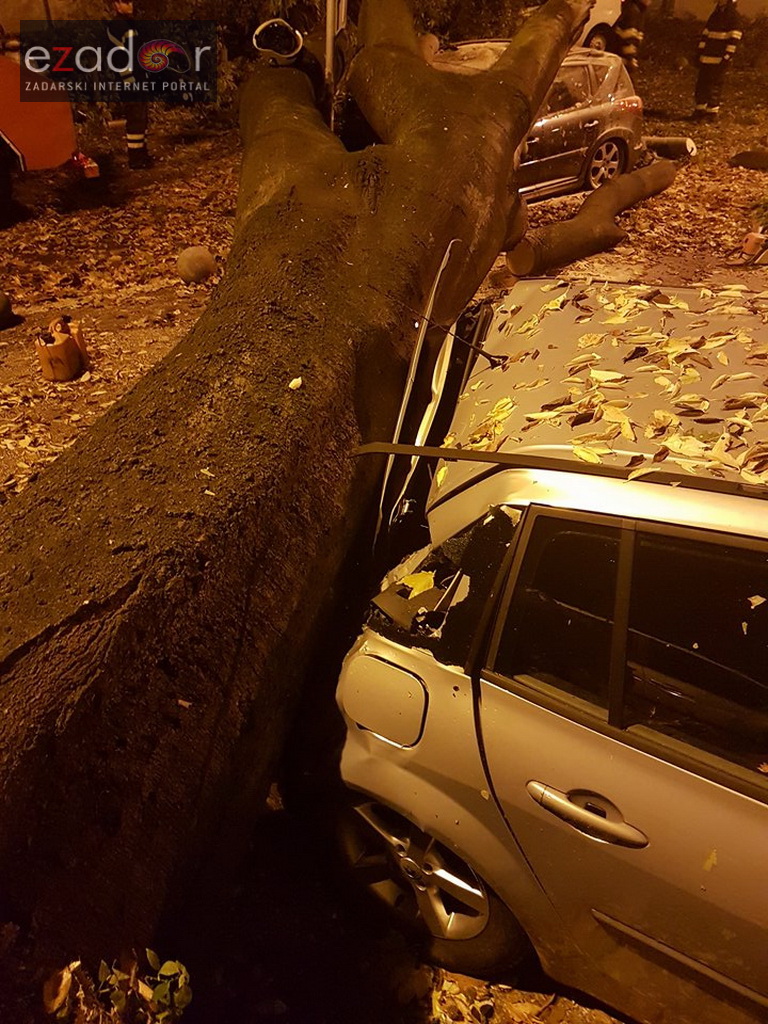 Jak vjetar srušio stablo na parkirane automobile kod OŠ Petar Preradović na Poluotoku