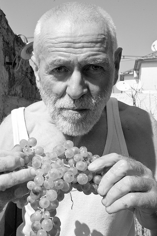 Priča o vinu: Od trsa do bačve, Foto: Leo Banić