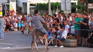 Trka Tovarov – 48. Memorijal Kenje Vijole Sukošan  Photo: Leo Banić