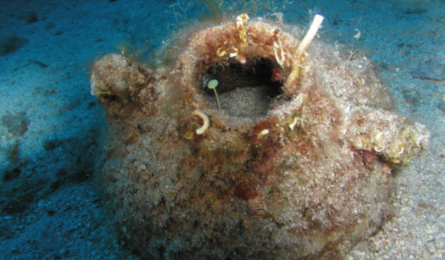 Image 1203913 (auto)