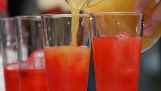 1. Zupanijski junior barmen kup u hotelu Kolovare, Foto: Ivan Stipcevic