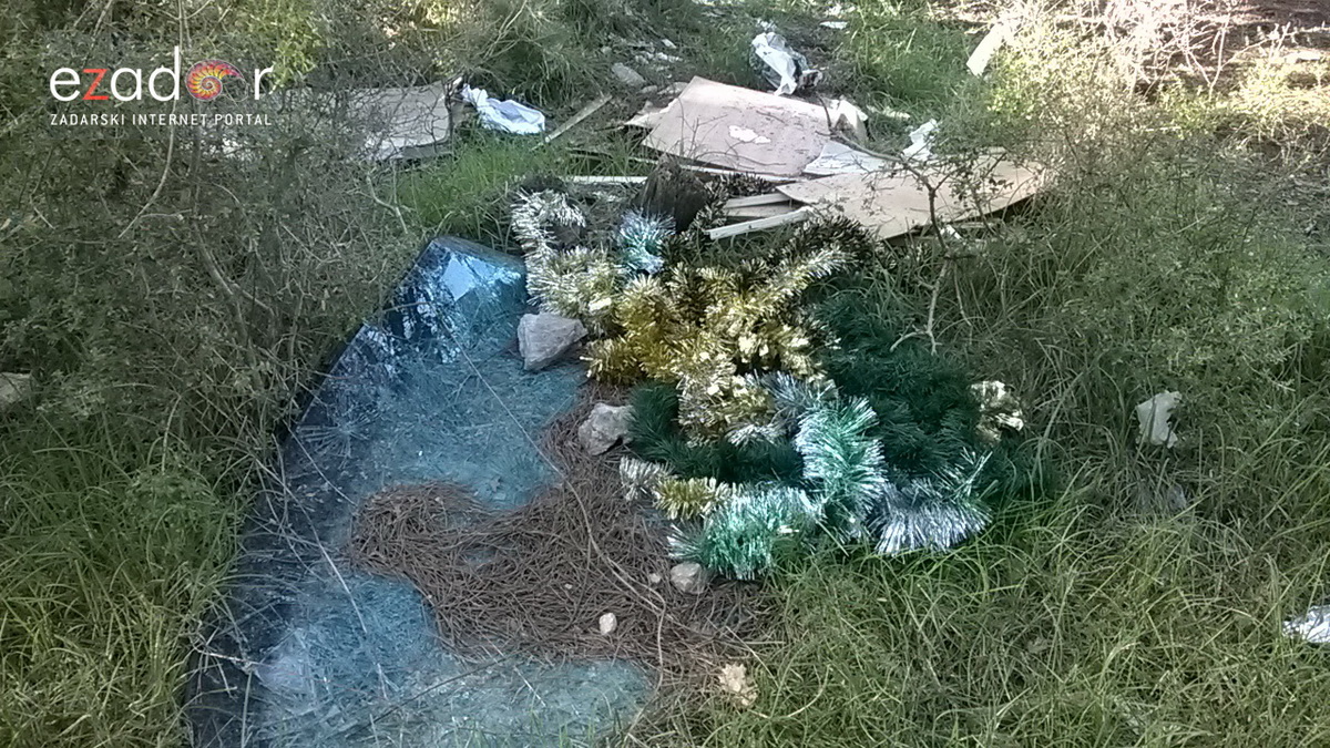 Ovako izgleda Park šuma Musapstan nakon akcije “Zelena čistka” Ovako izgleda Park šuma Musapstan nakon akcije “Zelena čistka”