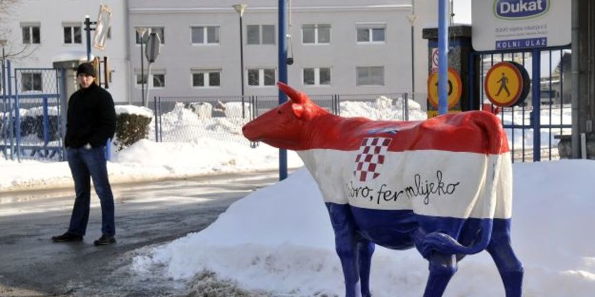 Prosvjed, mljekari (Foto:Foto: Ranko Šuvar/Cropix)