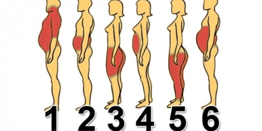 Šest tipova debljine Šest tipova debljine