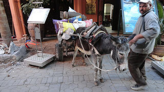 Skitnja po Maroku, foto: Pero Šindija Skitnja po Maroku, foto: Pero Šindija