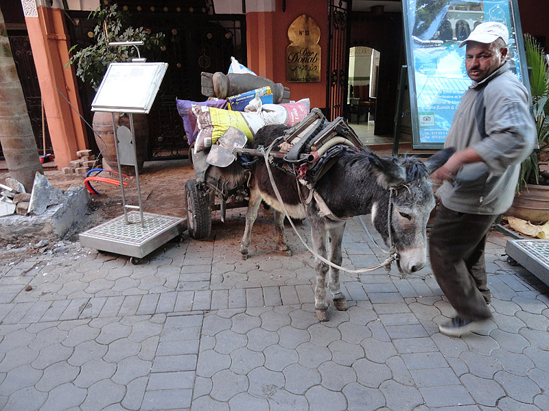 Skitnja po Maroku, foto: Pero Šindija Skitnja po Maroku, foto: Pero Šindija