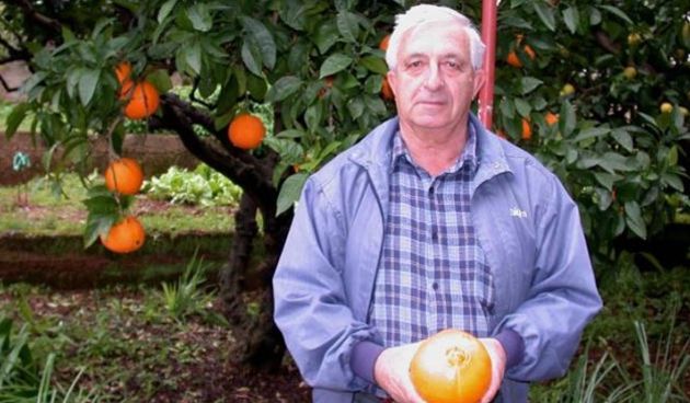Neobična igra prirode u Jelsi: U vrtu mu rodila “vašingtonka” teža od kile, foto: SD