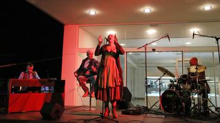 MAS: Koncert Matije Dedića i grupe Black Coffee, foto: eZadar