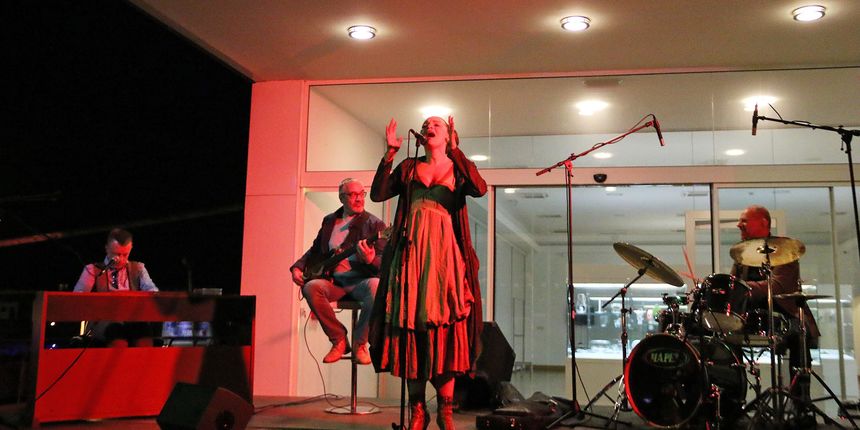 MAS: Koncert Matije Dedića i grupe Black Coffee, foto: eZadar