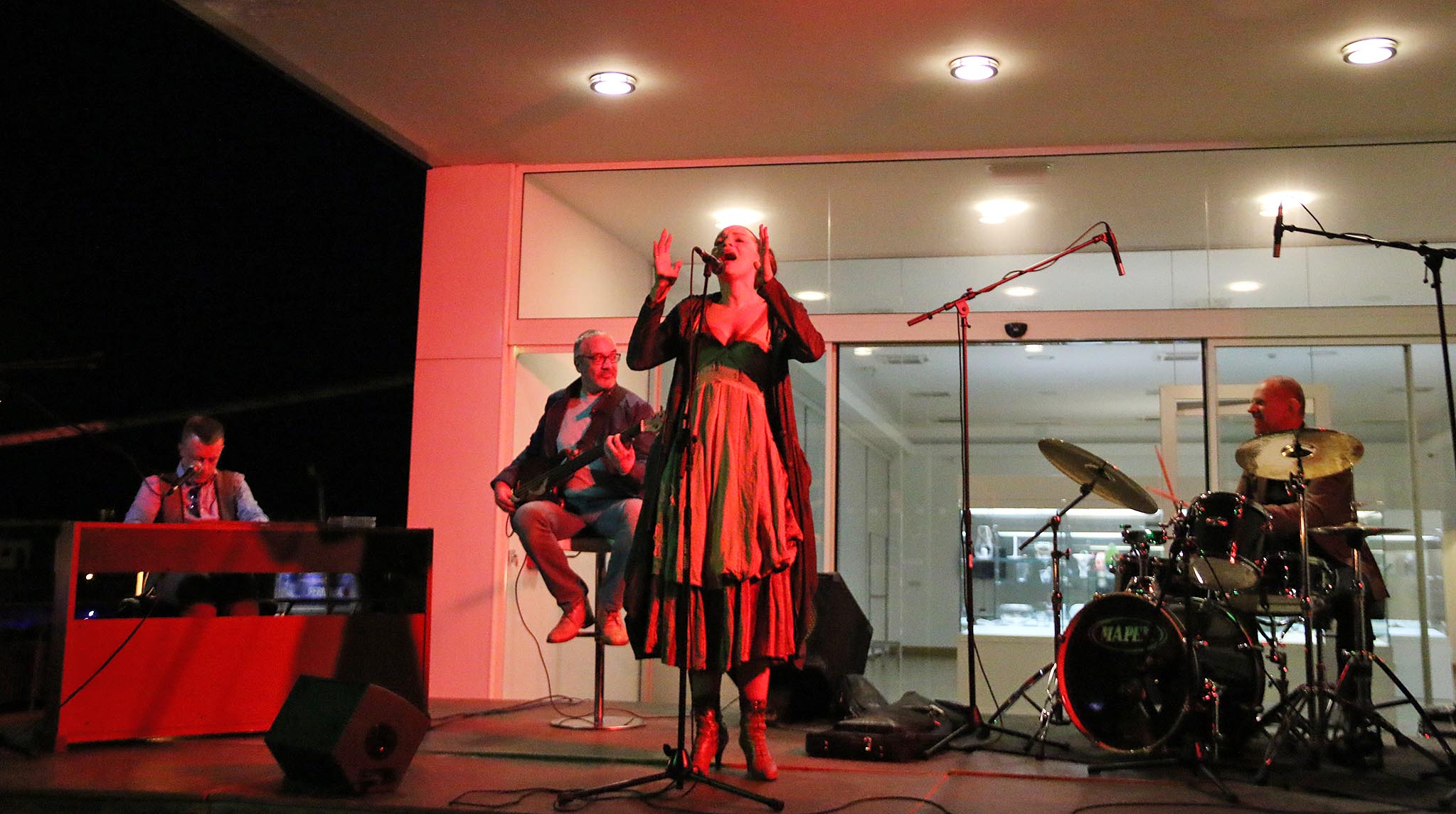 MAS: Koncert Matije Dedića i grupe Black Coffee, foto: eZadar