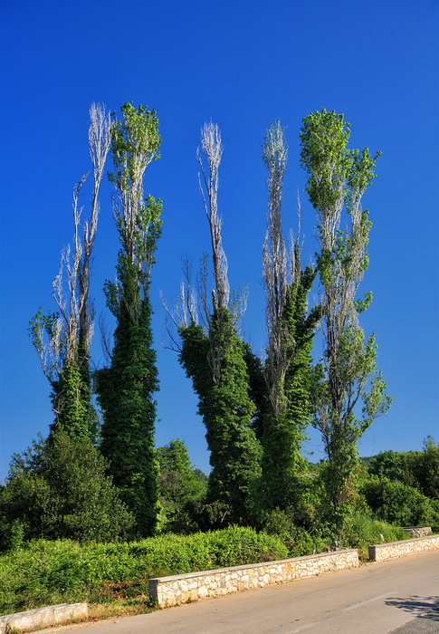 Skitnja gradom 9. svibnja 2013. Foto: Roberto Lerga Skitnja gradom 9. svibnja 2013. Foto: Roberto Lerga