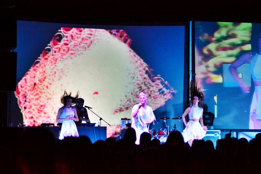 Colonia u Zatonu ; foto Iva Perinčić Colonia u Zatonu ; foto Iva Perinčić