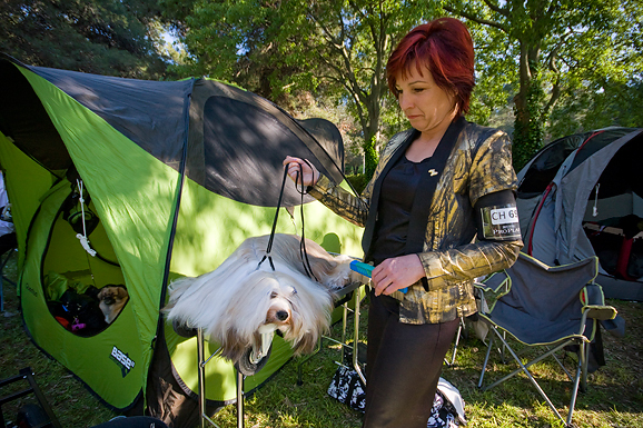 Međunarodna izložba pasa “CACIB ZADAR 2012” Međunarodna izložba pasa “CACIB ZADAR 2012”