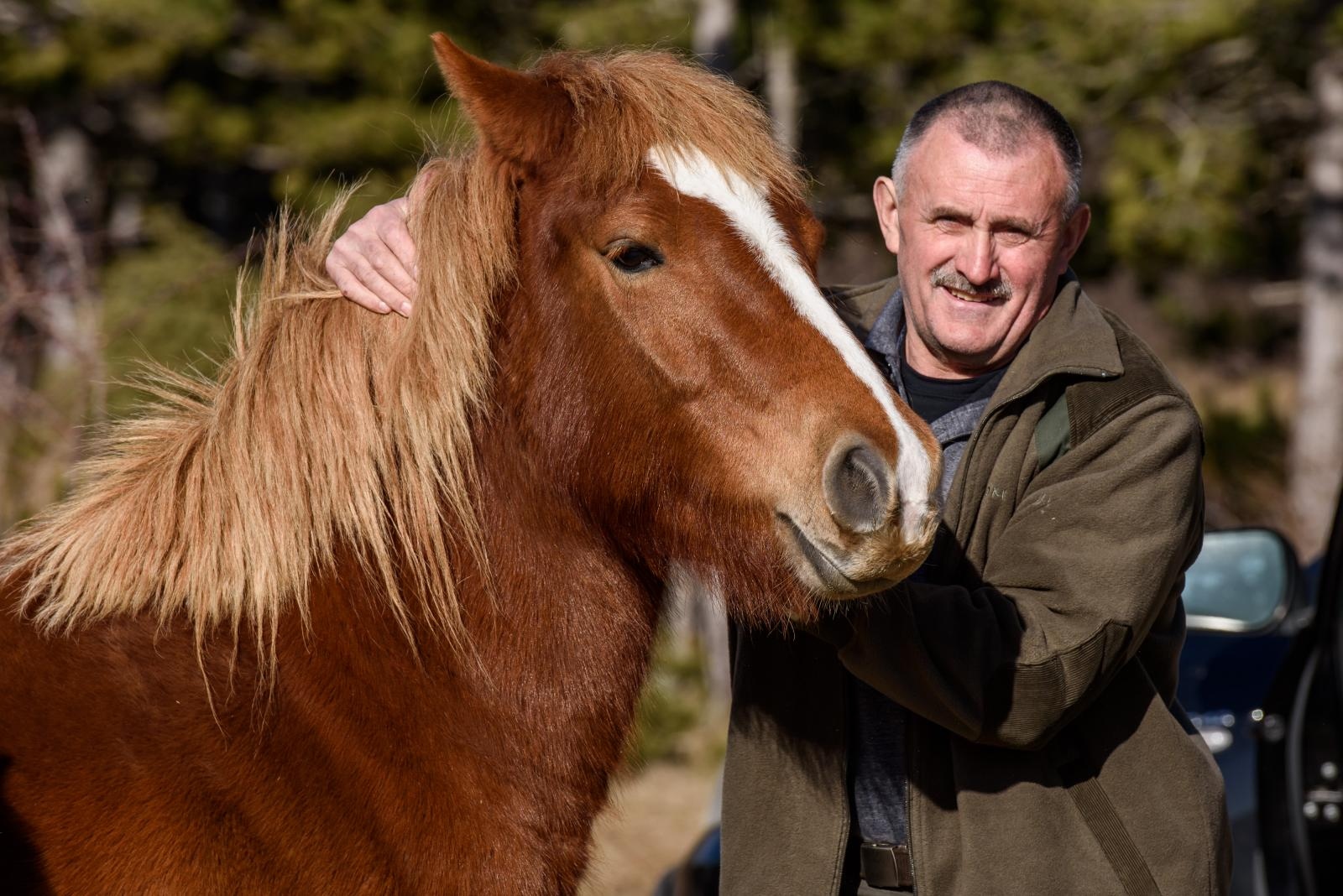 Veliko Rujno: Drago Krapić vlasnik je pedesetak konja koji obitavaju na velebitskim pašnjacima
