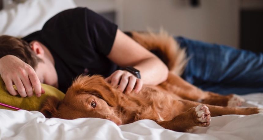 Pas, djete, spavanje