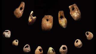 Paleolitička Venera pronađena u pećini Vlakno na Dugom otoku Paleolitička Venera pronađena u pećini Vlakno na Dugom otoku