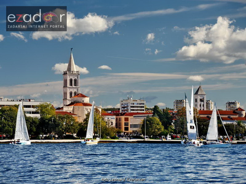 Zadarska koka 2017. Zadarska koka 2017.