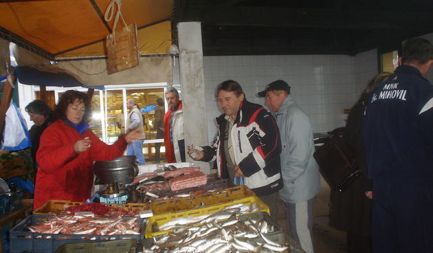 Biograd ribarnica (Foto: Diana Everle)